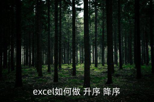 excel如何做 升序 降序