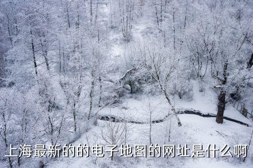 上海市地圖高清版2021年，最新的上海地圖