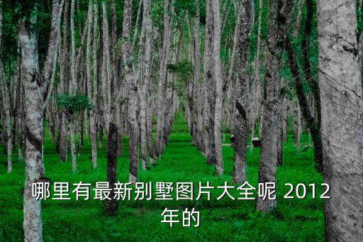 哪里有最新別墅圖片大全呢 2012年的