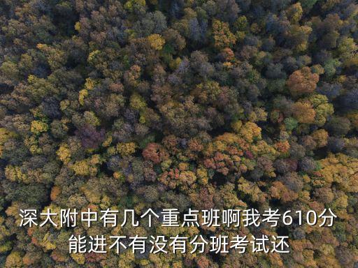 深大附中國際高中，深大附中的高中入取分數線多高藝術生呢