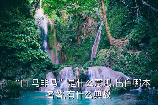 馬非馬,白馬非馬是邏輯問題或是互換概念