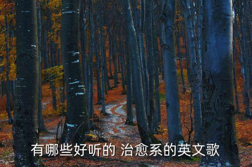 治愈系歌曲,第二集:我的心會gooann