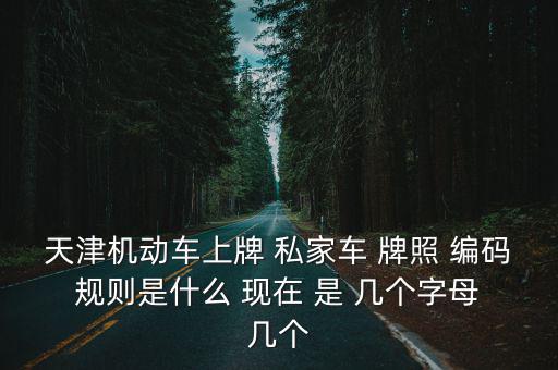 天津機動車上牌 私家車 牌照 編碼 規則是什么 現在 是 幾個字母 幾個