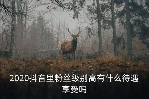 2020抖音里粉絲級別高有什么待遇享受嗎