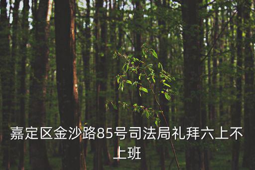 上海嘉定法律援助中心工作時(shí)間，雙休日有上班嗎