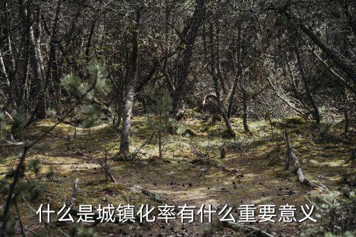 中國城市化,中國城鎮人口首次超過50%