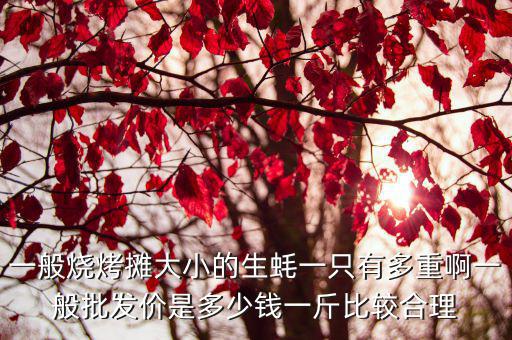 天津市海鮮燒烤批發生蠔，一般燒烤攤大小的生蠔一只有多重啊一般批發價是多少錢一斤比較合理