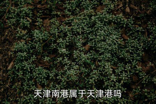 天津南港屬于天津港嗎