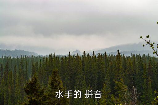 舵手的拼音,經(jīng)歷風(fēng)浪考驗(yàn)才能成為真正水手