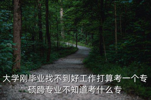 大學(xué)剛畢業(yè)找不到好工作打算考一個(gè)專碩跨專業(yè)不知道考什么專