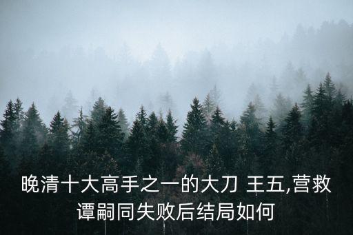 晚清十大高手之一的大刀 王五,營救譚嗣同失敗后結局如何