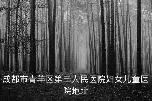 成都市人民路136號是哪里，成都網監局文武路136號在哪里