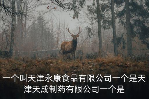 一個叫天津永康食品有限公司一個是天津天成制藥有限公司一個是