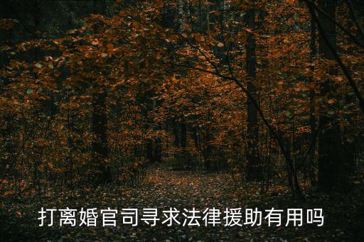 打離婚官司尋求法律援助有用嗎