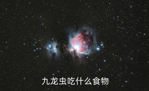  九龍蟲吃什么食物