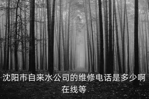沈陽市自來水公司的維修電話是多少啊在線等