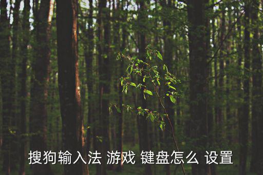 游戲鍵盤怎么設置,用搜狗輸入法打開游戲鍵盤操作過程