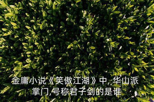 華山掌門,華山pie掌門人岳不群是偽君子
