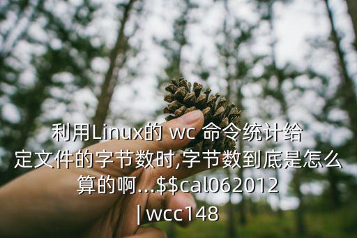 利用Linux的 wc 命令統計給定文件的字節數時,字節數到底是怎么算的啊...$$cal062012| wcc148