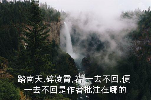 踏南天,碎凌霄,若 一去不回,便 一去不回是作者批注在哪的
