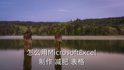 怎么用MicrosoftExcel制作 減肥 表格