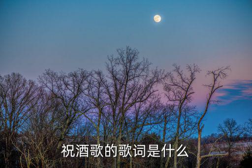 祝酒歌歌詞，彝族各式敬酒歌歌詞