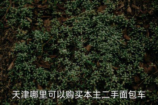 天津哪里可以購(gòu)買本主二手面包車