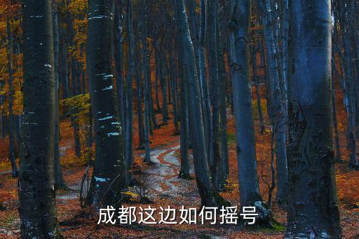 成都這邊如何搖號
