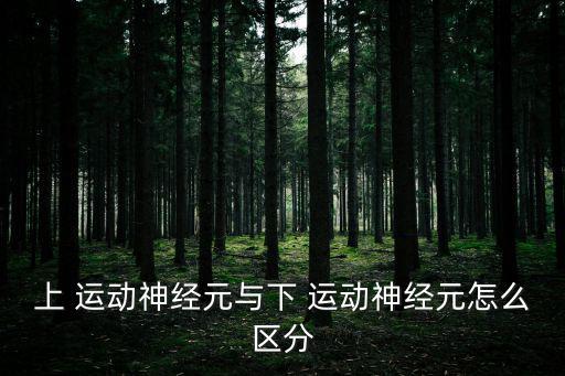上 運(yùn)動(dòng)神經(jīng)元與下 運(yùn)動(dòng)神經(jīng)元怎么區(qū)分