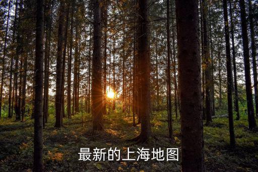 最新的上海地圖