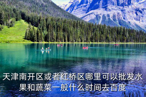 天津市南開區哪里有批發冷食的，南開區第二冷食廠具體地址