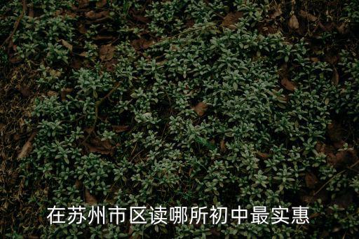 蘇州最便宜的私立初中學校，蘇州有哪些初中部民辦學校