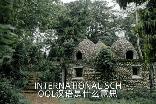 INTERNATIONAL SCHOOL漢語是什么意思