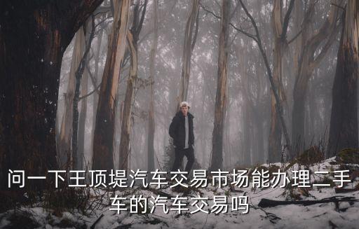 天津市王頂?shù)潭周?chē)交易市場(chǎng)，問(wèn)一下王頂?shù)唐?chē)交易市場(chǎng)能辦理二手車(chē)的汽車(chē)交易嗎