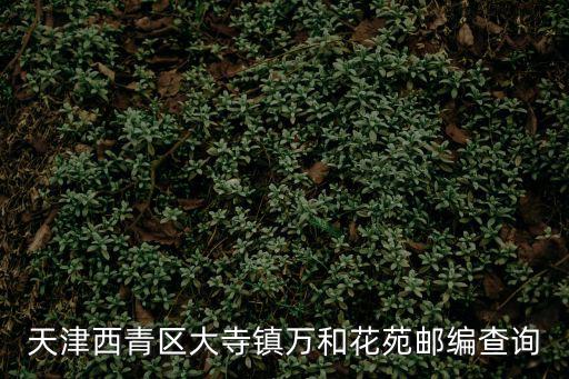 天津市西青區大寺鎮郵編查詢，西青的郵政編碼多少啊