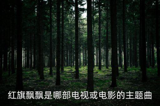紅旗飄飄歌詞，還珠格格主題曲的歌詞