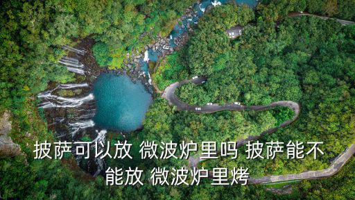  披薩可以放 微波爐里嗎 披薩能不能放 微波爐里烤