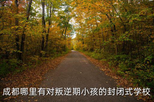 成都哪里有對(duì)叛逆期小孩的封閉式學(xué)校