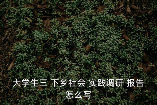 三下鄉(xiāng)實(shí)踐報告,下鄉(xiāng)社會實(shí)踐工作簡述參考大綱
