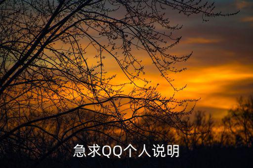 急求QQ個人說明