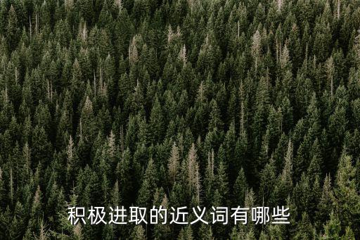 積極進(jìn)取的近義詞有哪些