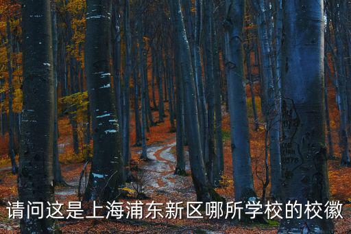請問這是上海浦東新區(qū)哪所學(xué)校的校徽