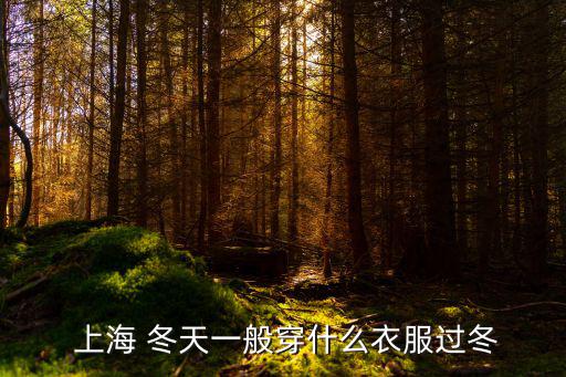 上海冬天,上海氣候溫和濕潤(rùn)天馬山是上海陸地最高點(diǎn)