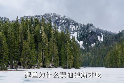  鯉魚為什么要抽掉筋才吃