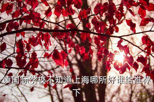 讀國際學校不知道上海哪所好誰給推薦下