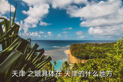 天津之眼介紹,天津之眼是世界上唯一建在永樂橋上的摩天輪