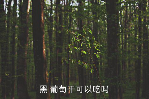 黑 葡萄干可以吃嗎