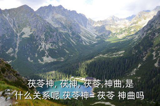  茯苓神, 茯神, 茯苓,神曲,是什么關(guān)系呢 茯苓神= 茯苓 神曲嗎