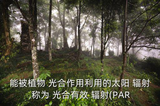 能被植物 光合作用利用的太陽 輻射,稱為 光合有效 輻射(PAR