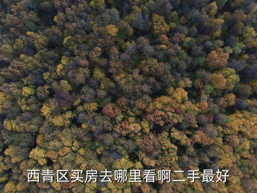 西青區買房去哪里看啊二手最好